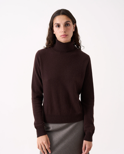 Absolut Cashmere Themys Brownie Rollneck Knit