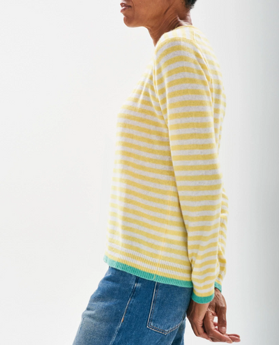 Jumper1234 Tipped Little Stripe Yellow Crew Knit